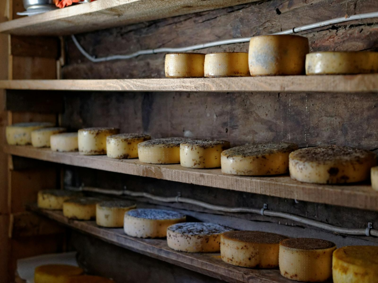 Lire la suite à propos de l’article Les differentes saveurs du fromage blanc : un monde de delices a explorer